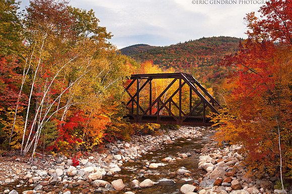 Sawyer River Foliage