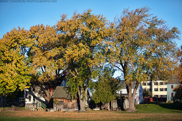 Autumn in Portsmouth
