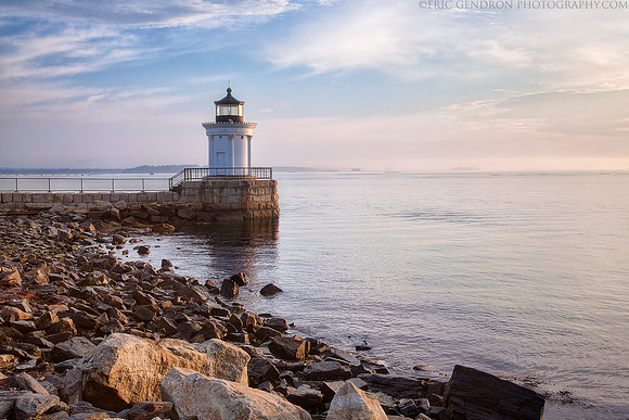 Bug Light