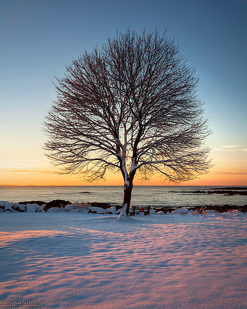 Winter on the Coast