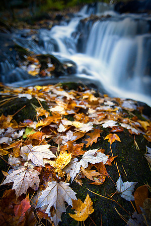 Garwin Falls Color