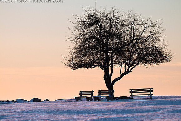 Winter Morn at Great Island Common