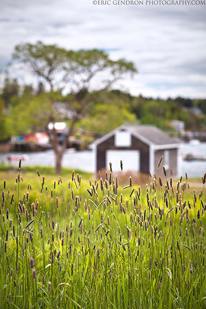 Mackerel Cove Boathouse