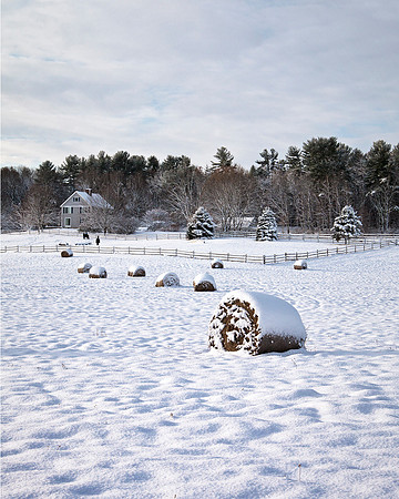 Winter on the Farm