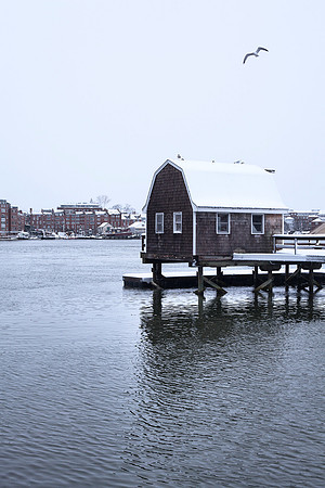 Taking Flight Over Portsmouth Harbor