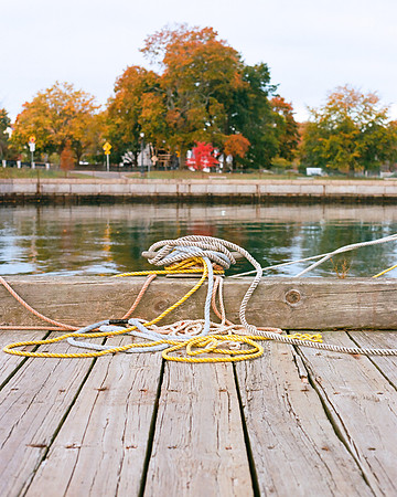 Tangled Lines [35mm]