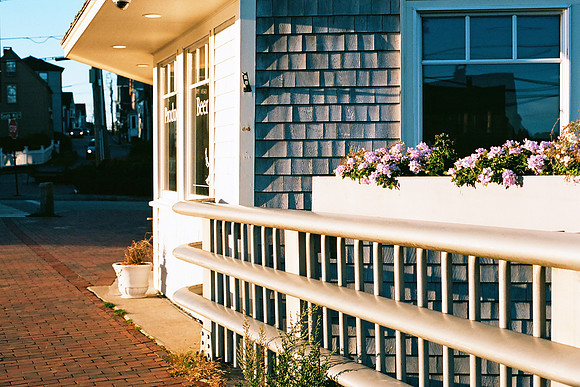 Afternoon Light [35mm]