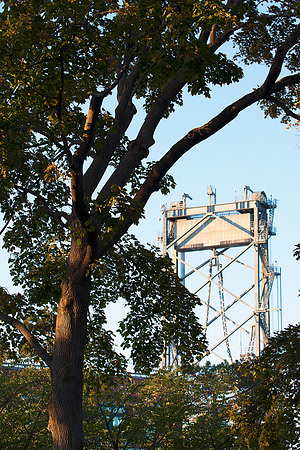 Bridge Framed by Tree