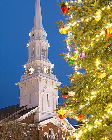 North Church and Tree