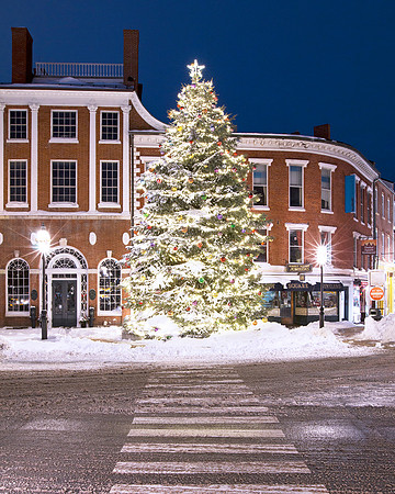 Market Square Christmas Tree