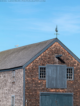Sheaf Warehouse & Seagull