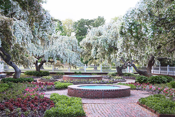 Prescott Park Spring Bloom