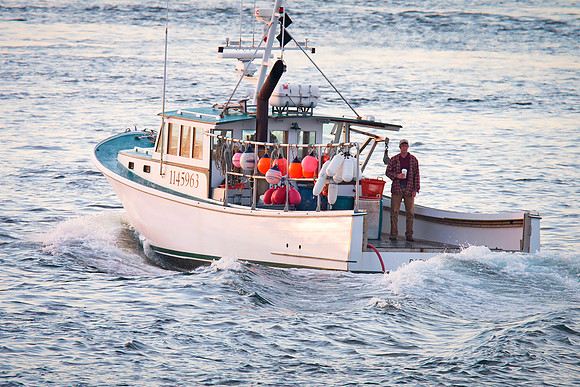 Heading Out to Sea