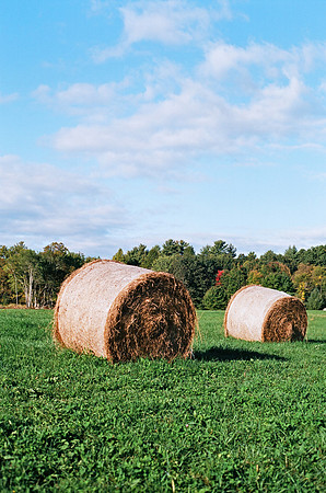 Autumn Fields [35mm]