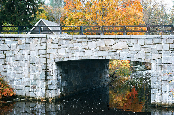 Bridge and Foliage [35mm]