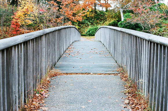 Bridge Crossing [35mm]