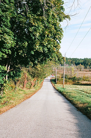 Country Road [35mm]
