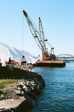 Harbor Cranes [35mm]