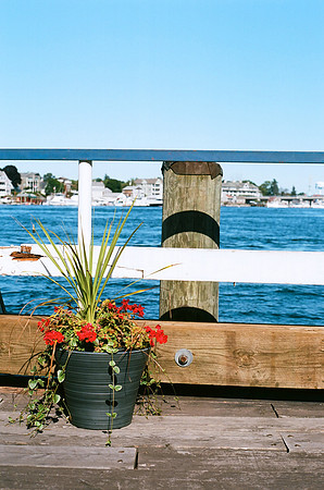 Harbor Cruise Docks [35mm]