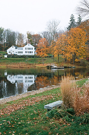 Oyster River Reflections [35mm]