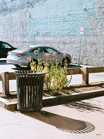 Whale Wall Lot [35mm]