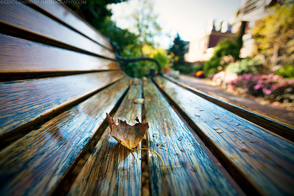 Park Bench