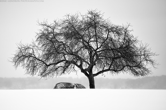 Solitude