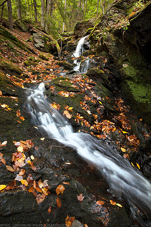 Autumn Brook