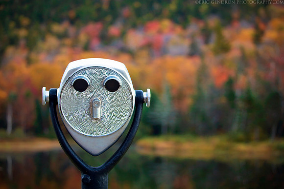 A Colorful View